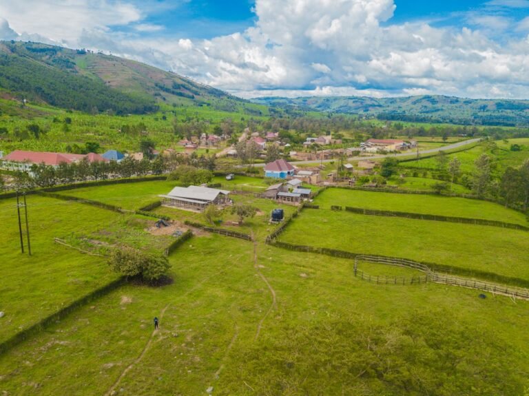 Understanding Land Ownership and Title Deeds in Kenya